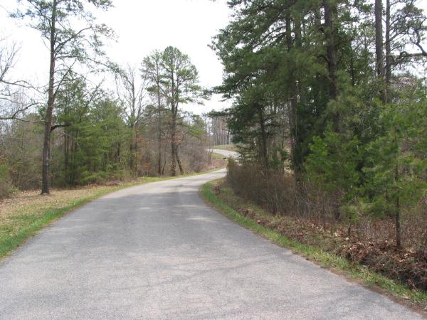 Nearby road