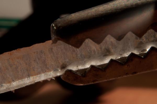 Plastic edge in alligator clips