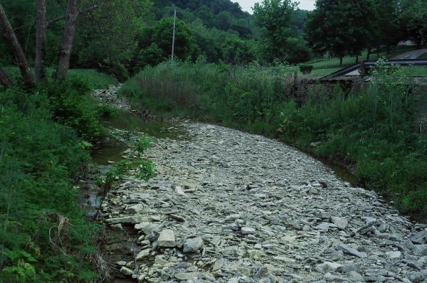 56 & Thuermer Hollow in Indiana… little boring, but here it is.