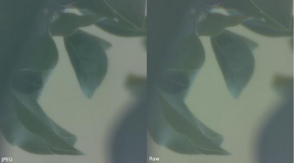 JPEG & raw comparison
